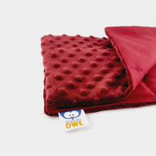 Carica l&#39;immagine nel visualizzatore di Gallery, SOFT LAP PILLOW | SENSORY OWL