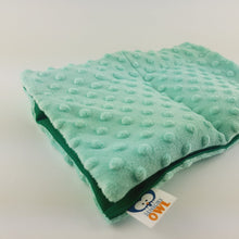 Carica l&#39;immagine nel visualizzatore di Gallery, SOFT LAP PILLOW | SENSORY OWL