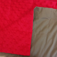 Carica l&#39;immagine nel visualizzatore di Gallery, 90x120cm, Beige Cotton &amp; Red Minky Blanket, 3.7kg